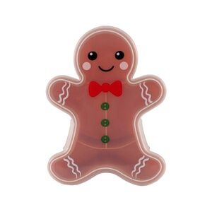 NWT Gingerbread Food Storage Box Target Small